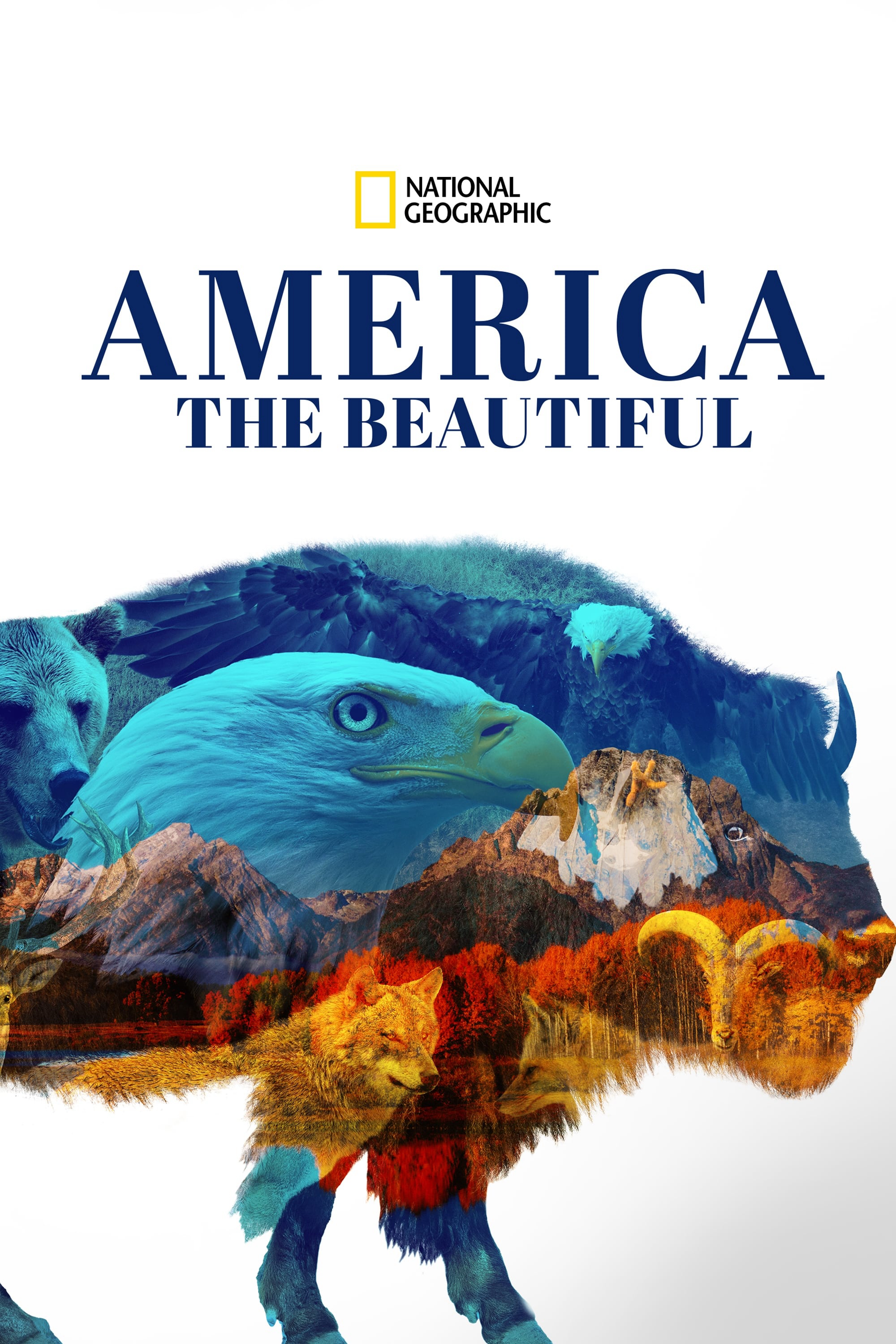 Xem Phim America the Beautiful Vietsub HD Online - Rophim