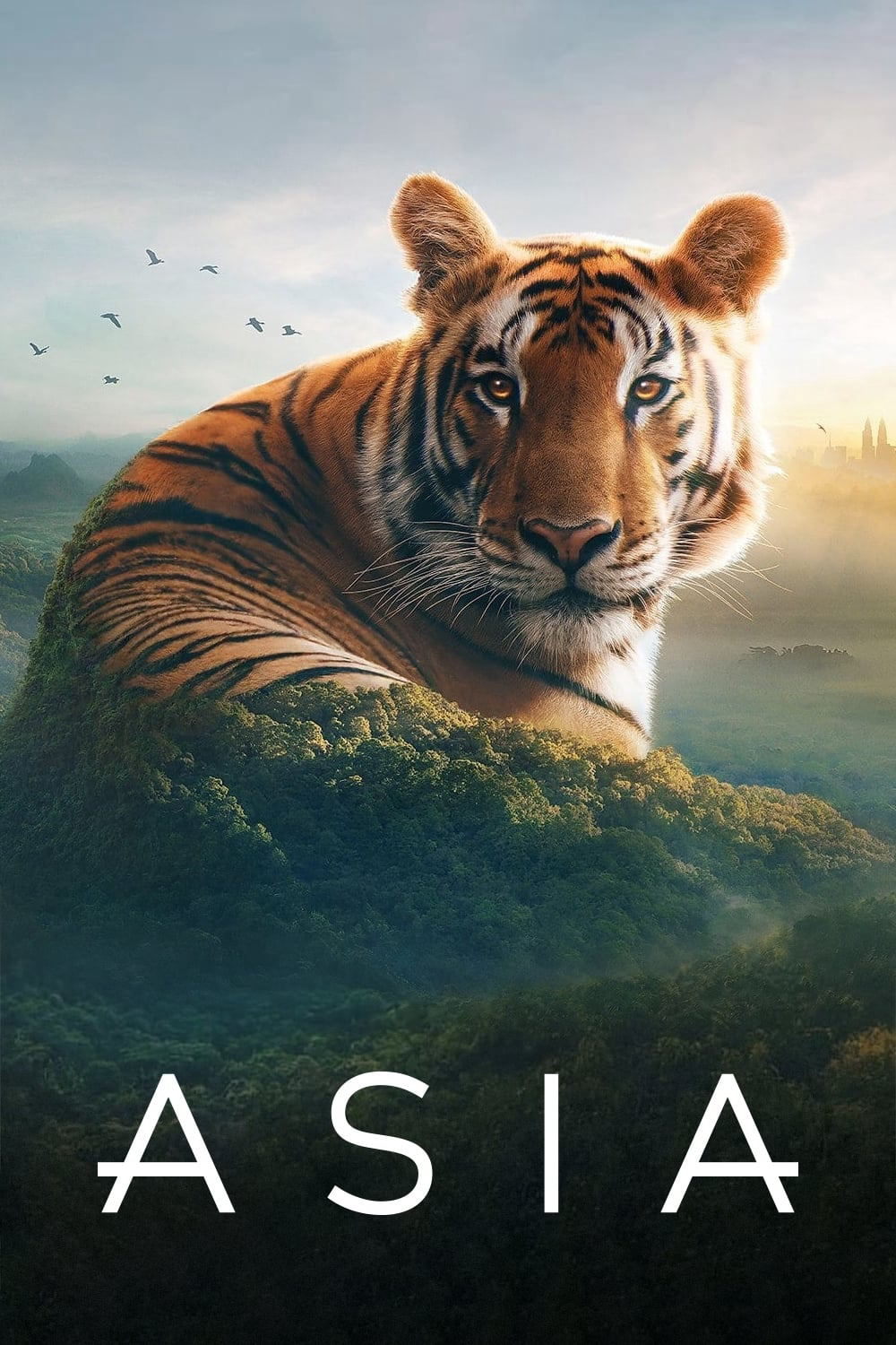 Xem Phim Asia Vietsub HD Online - Rophim