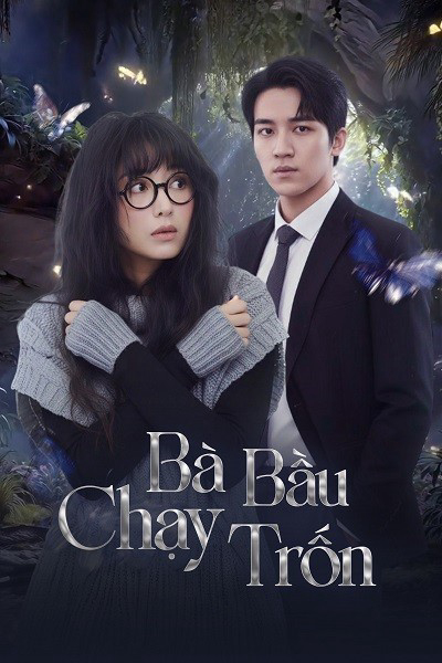 Xem Phim Bà Bầu Chạy Trốn Vietsub HD Online - Rophim