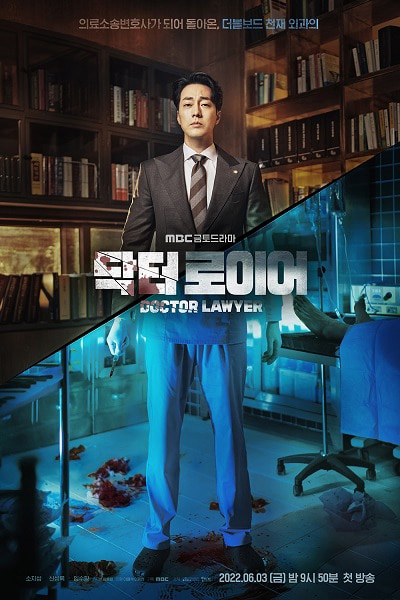 Xem Phim Bác Sĩ Luật Sư Vietsub HD Online - Rophim