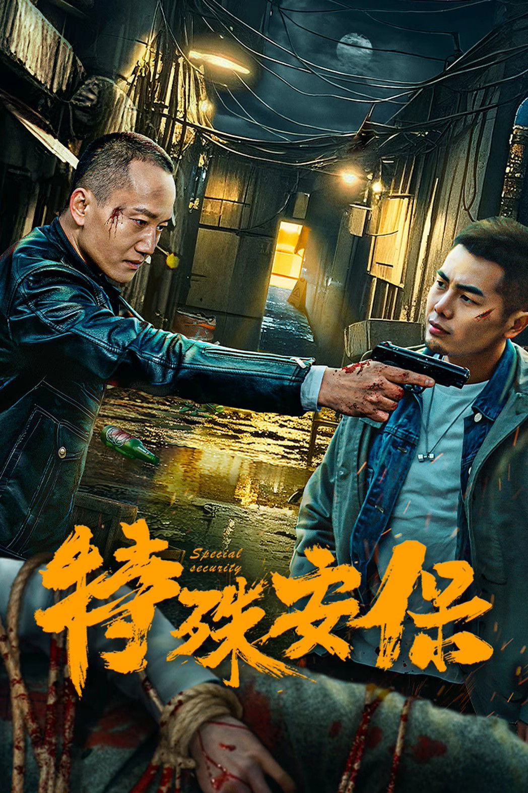 Xem Phim Bảo Vệ Đặc Biệt Vietsub HD Online - Rophim