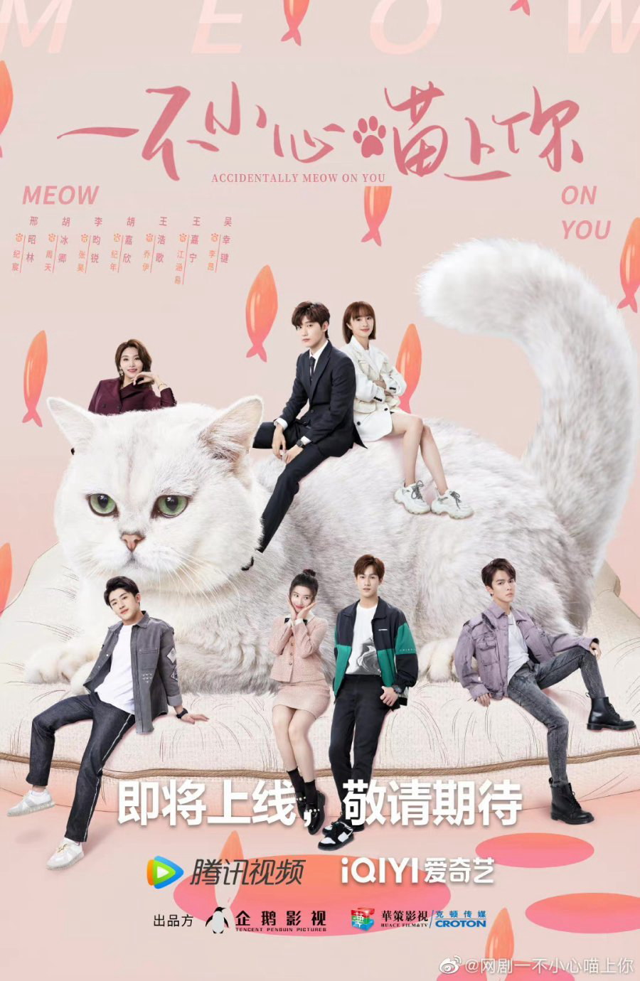 Xem Phim Bất Cẩn Meow Phải Anh Vietsub HD Online - Rophim