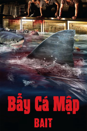 Xem Phim Bẫy Cá Mập Vietsub HD Online - Rophim