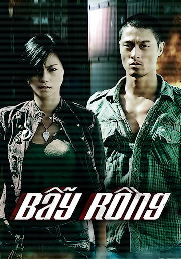Xem Phim Bẫy Rồng Vietsub HD Online - Rophim