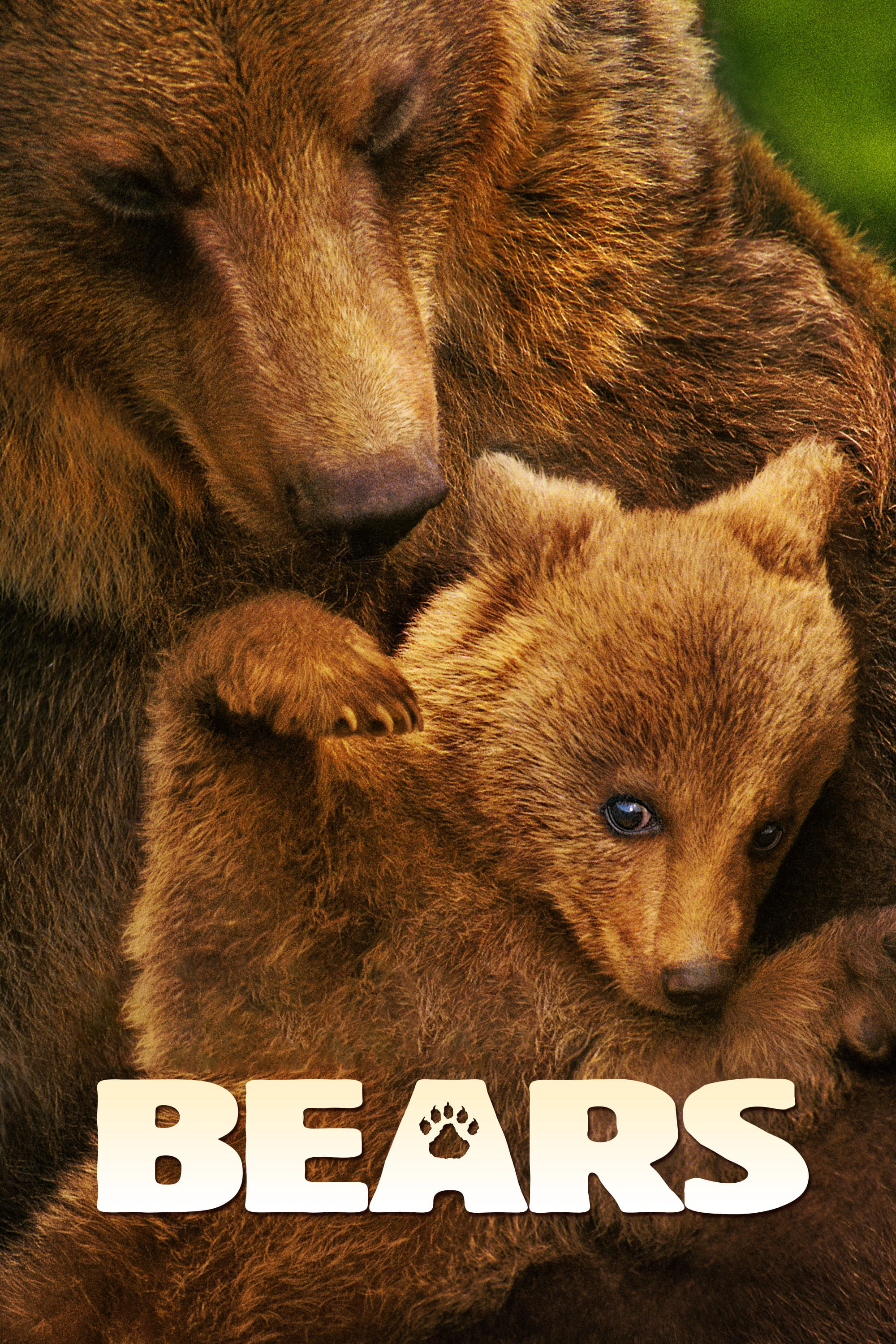 Xem Phim Bears Vietsub HD Online - Rophim