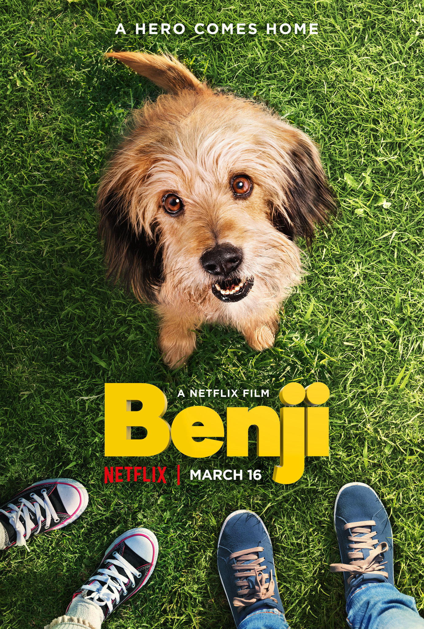 Xem Phim Benji Vietsub HD Online - Rophim