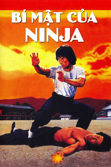 Xem Phim Bí Mật Của Ninja Vietsub HD Online - Rophim
