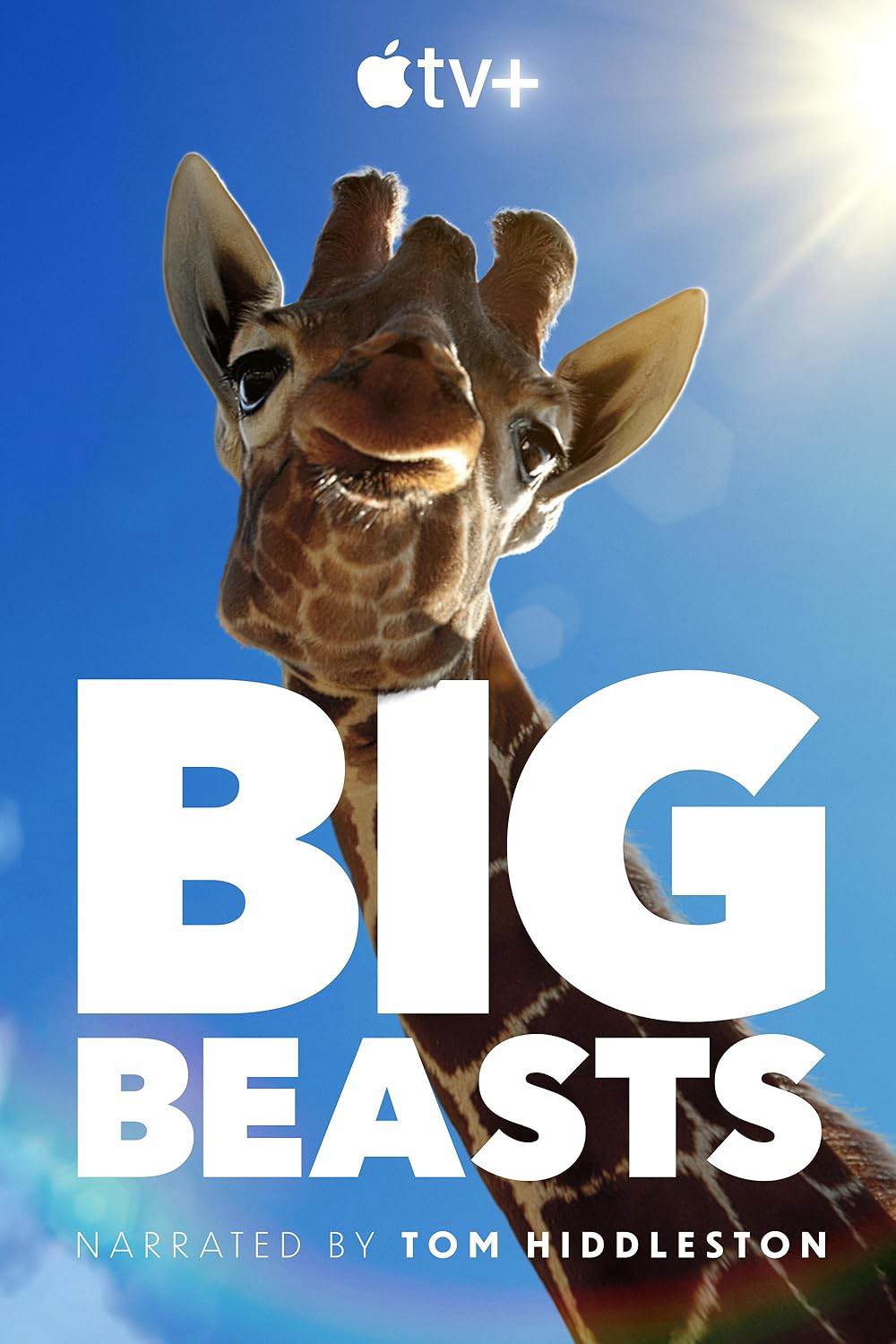 Xem Phim Big Beasts Vietsub HD Online - Rophim