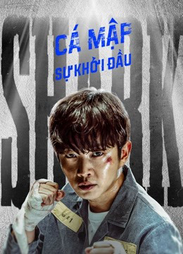 Xem Phim Cá Mập: Sự Khởi Đầu Vietsub HD Online - Rophim
