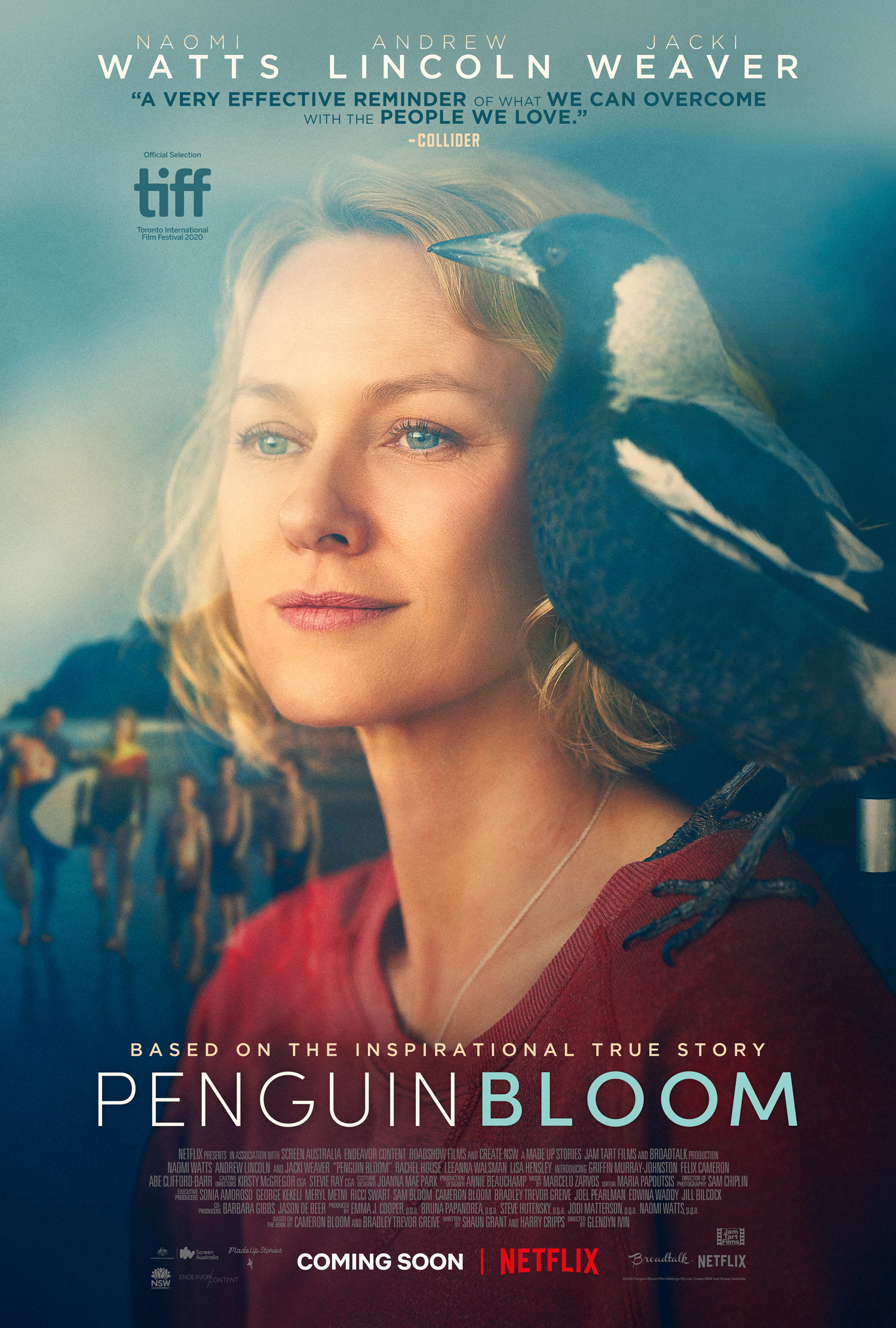 Xem Phim Cánh Cụt nhà Bloom Vietsub HD Online - Rophim