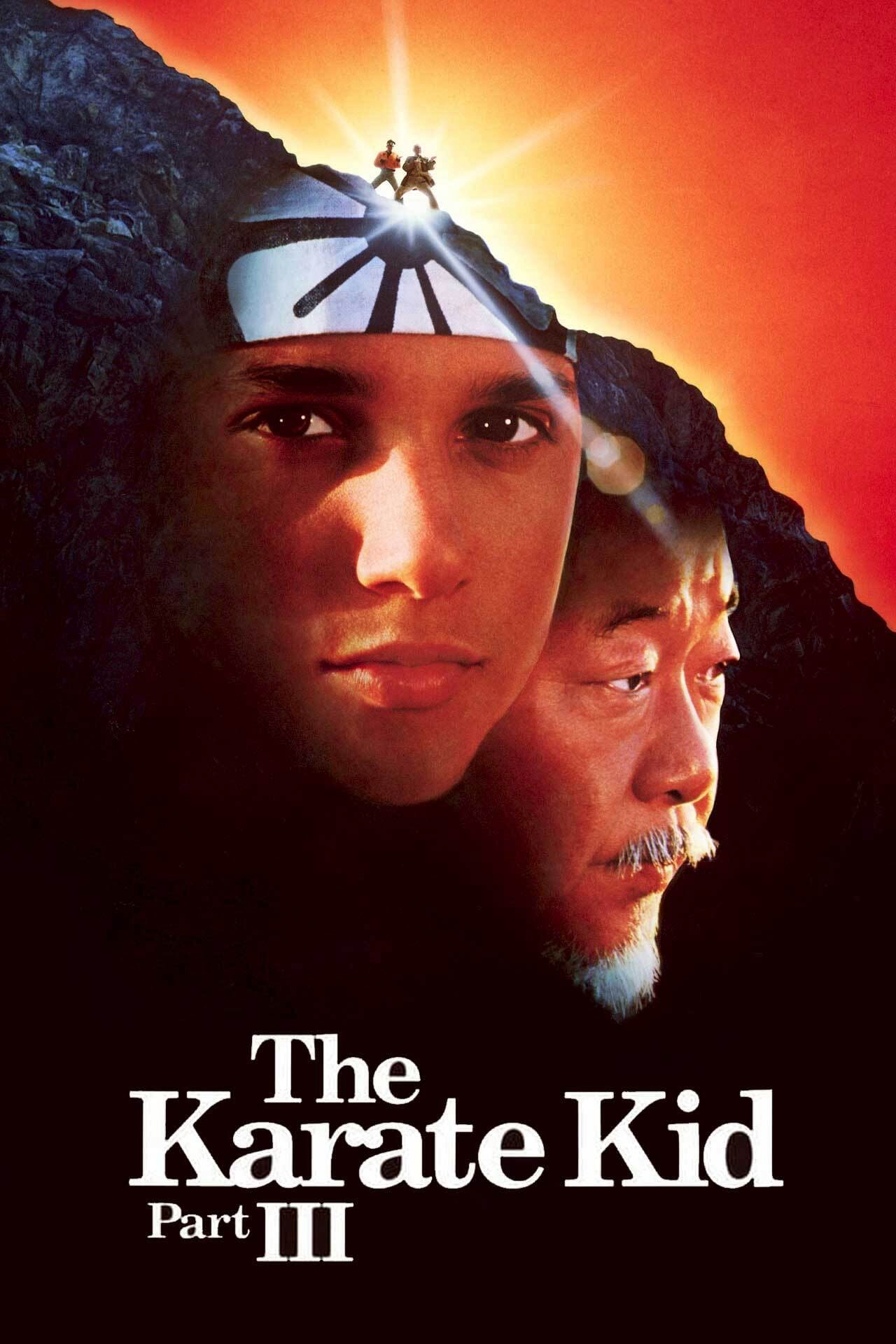 Xem Phim Cậu Bé Karate 3 Vietsub HD Online - Rophim