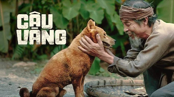 Xem Phim Cậu Vàng Vietsub HD Online - Rophim