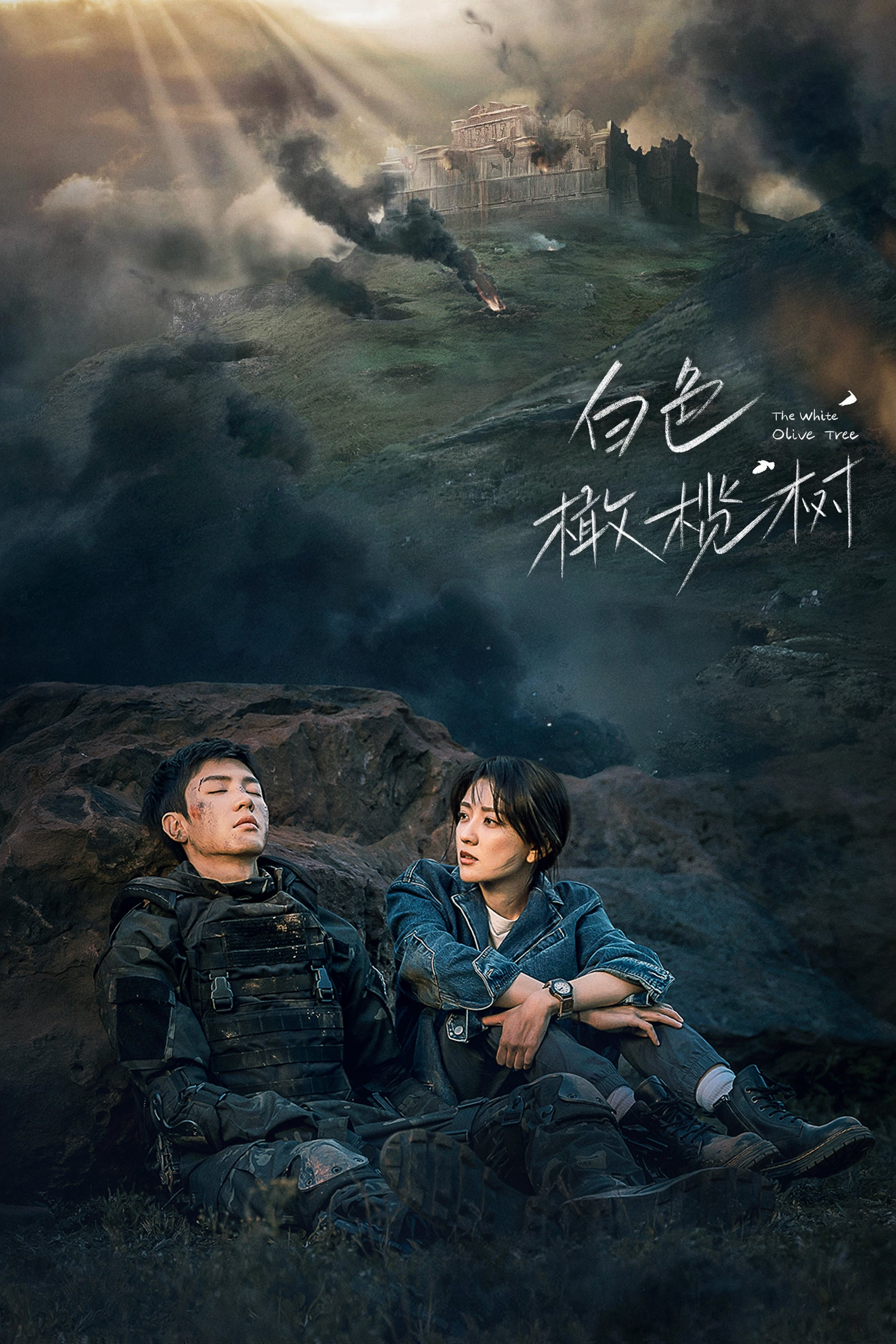 Xem Phim Cây Ô Liu Màu Trắng Vietsub HD Online - Rophim