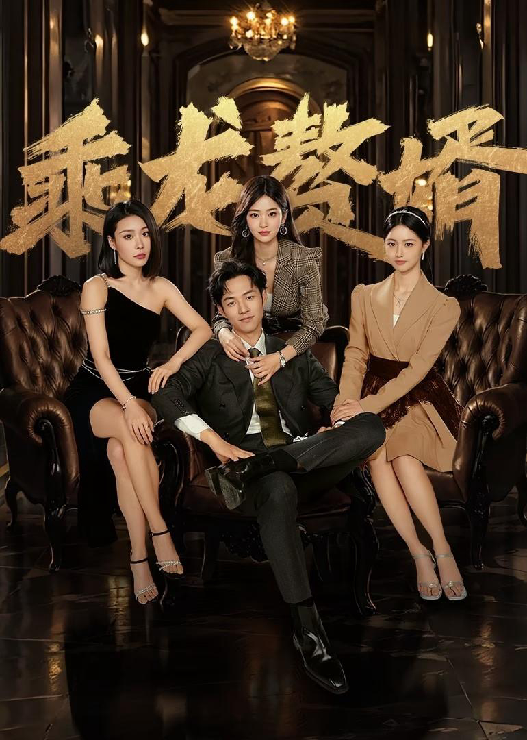 Xem Phim Chàng Rể Tài Ba Vietsub HD Online - Rophim