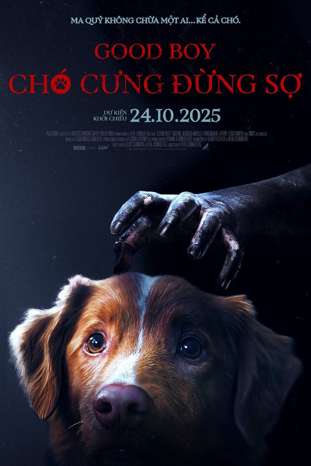 Xem Phim Chó Cưng Đừng Sợ Vietsub HD Online - Rophim