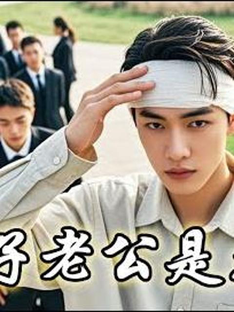 Xem Phim Chồng Ngốc Của Tôi Là Tỷ Phú Vietsub HD Online - Rophim
