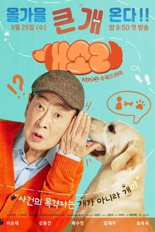 Xem Phim Chú Chó Biết Tuốt Vietsub HD Online - Rophim