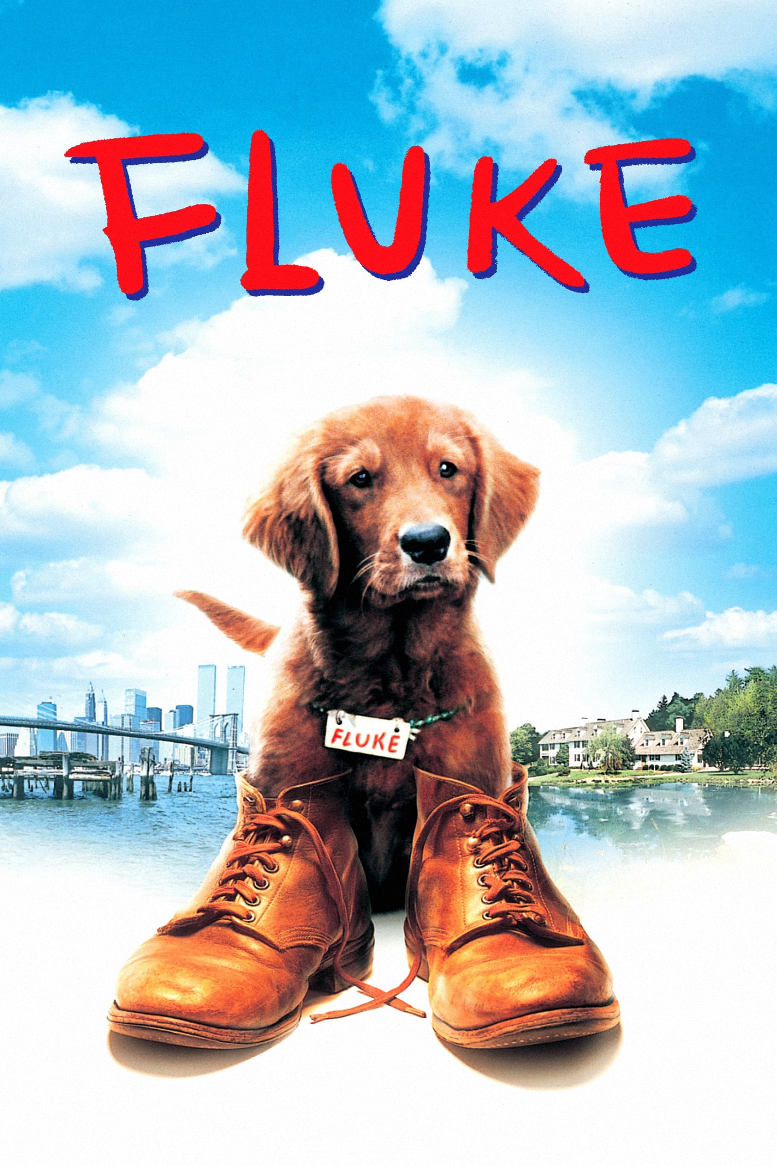 Xem Phim Chú Chó Fluke Vietsub HD Online - Rophim