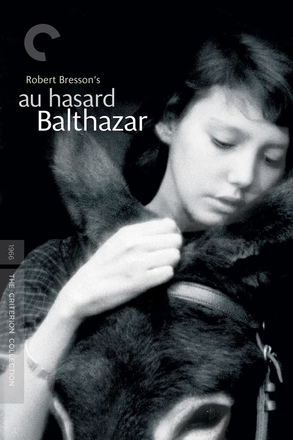 Xem Phim Chú Lừa Balthazar Vietsub HD Online - Rophim