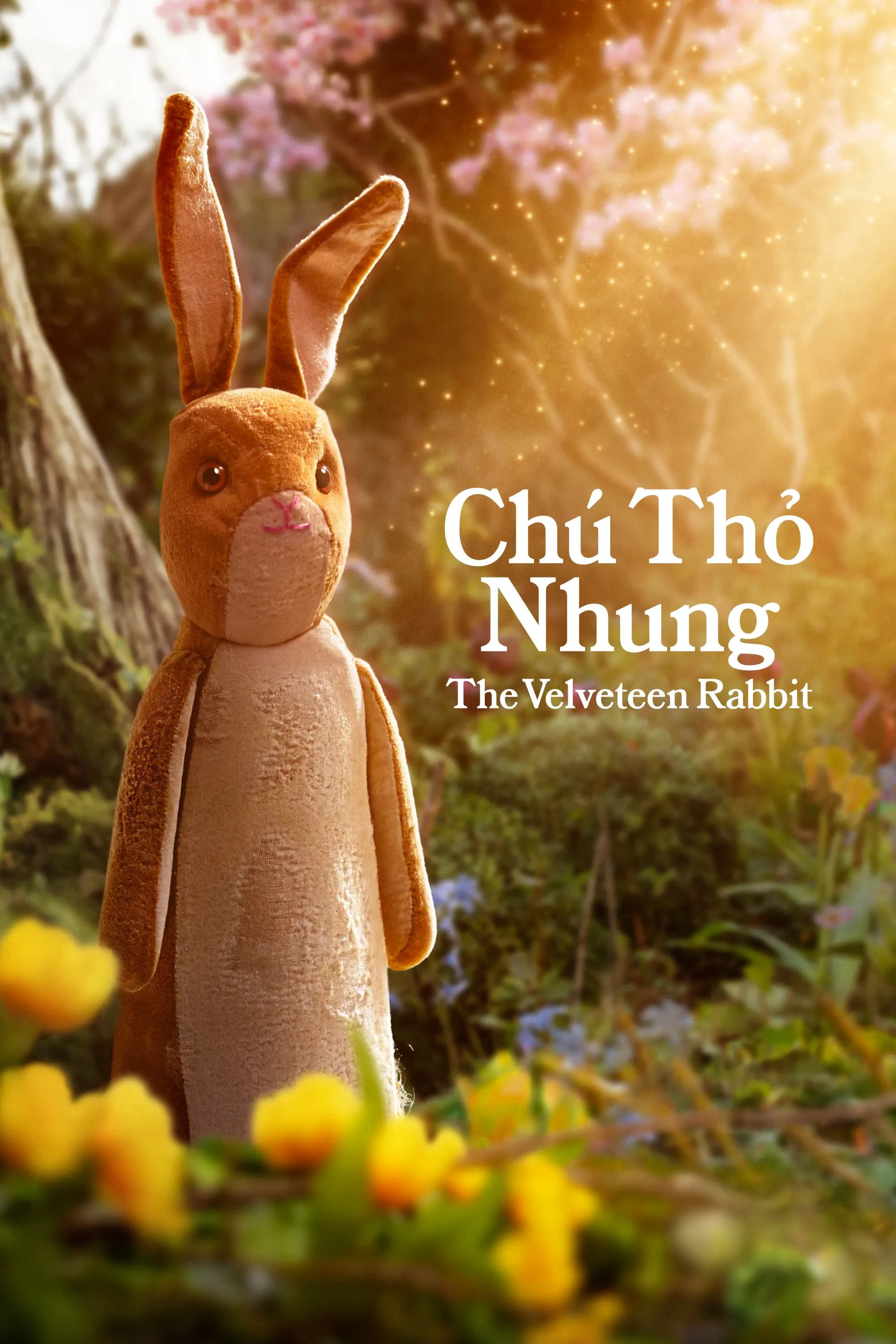Xem Phim Chú Thỏ Nhung Vietsub HD Online - Rophim