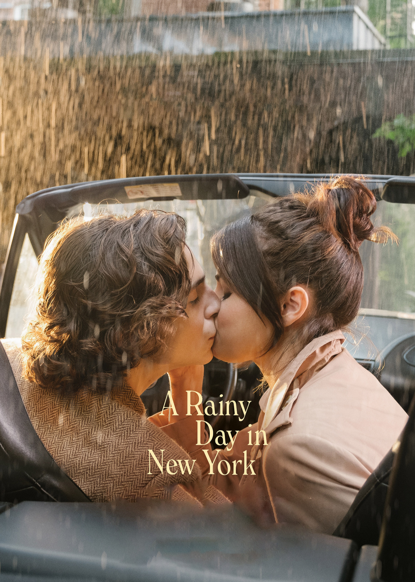 Xem Phim Chuyện Ngày Mưa Ở New York Vietsub HD Online - Rophim