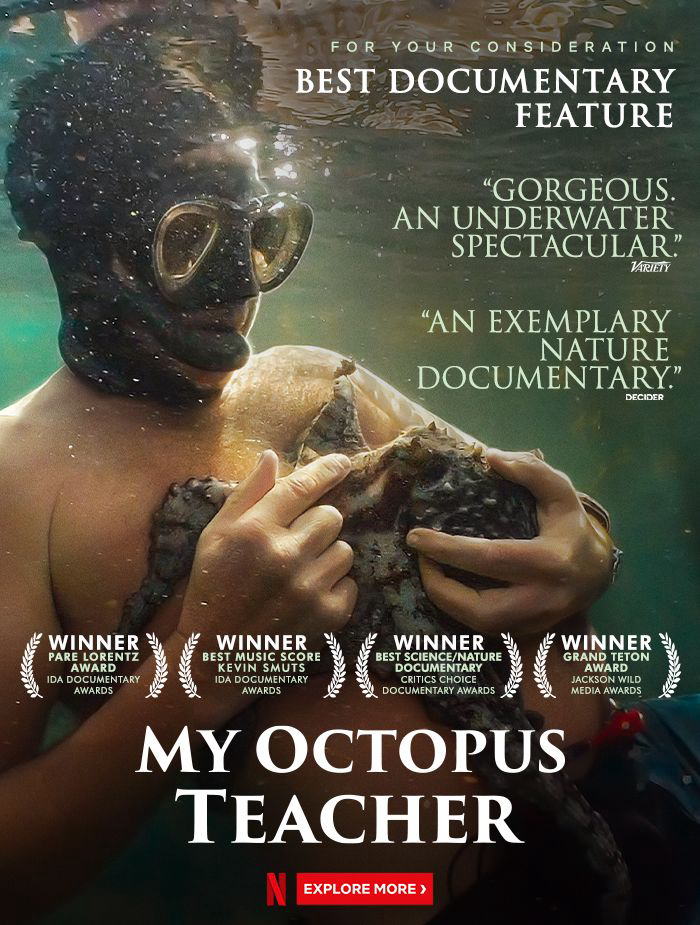 Xem Phim Cô giáo bạch tuộc Vietsub HD Online - Rophim