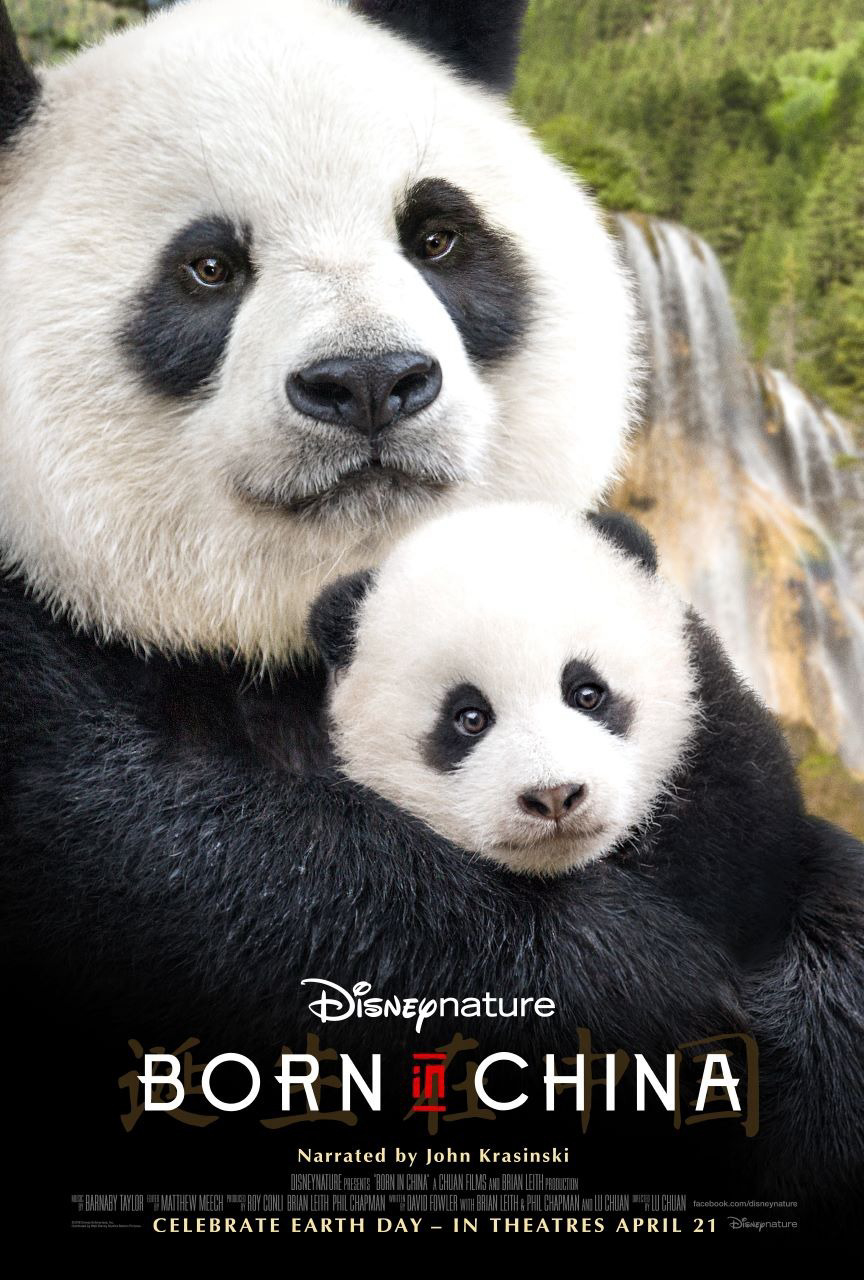 Xem Phim Cuộc Sống Hoang Dã Ở Trung Quốc Vietsub HD Online - Rophim