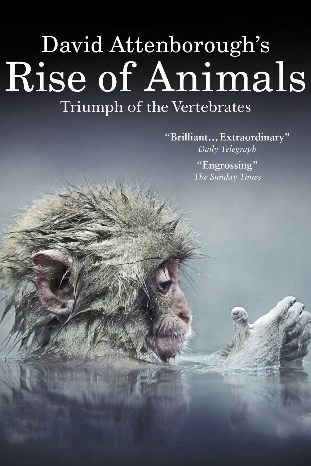 Xem Phim David Attenborough's Rise of Animals: Triumph of the Vertebrates Vietsub HD Online - Rophim