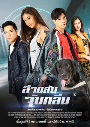 Xem Phim Điệp Viên Săn Mùi Vietsub HD Online - Rophim