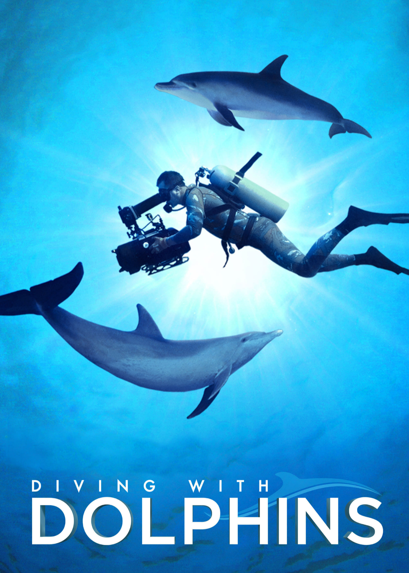 Xem Phim Diving with Dolphins Vietsub HD Online - Rophim