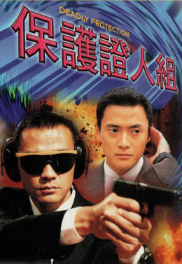 Xem Phim Đội Bảo Vệ Nhân Chứng Vietsub HD Online - Rophim