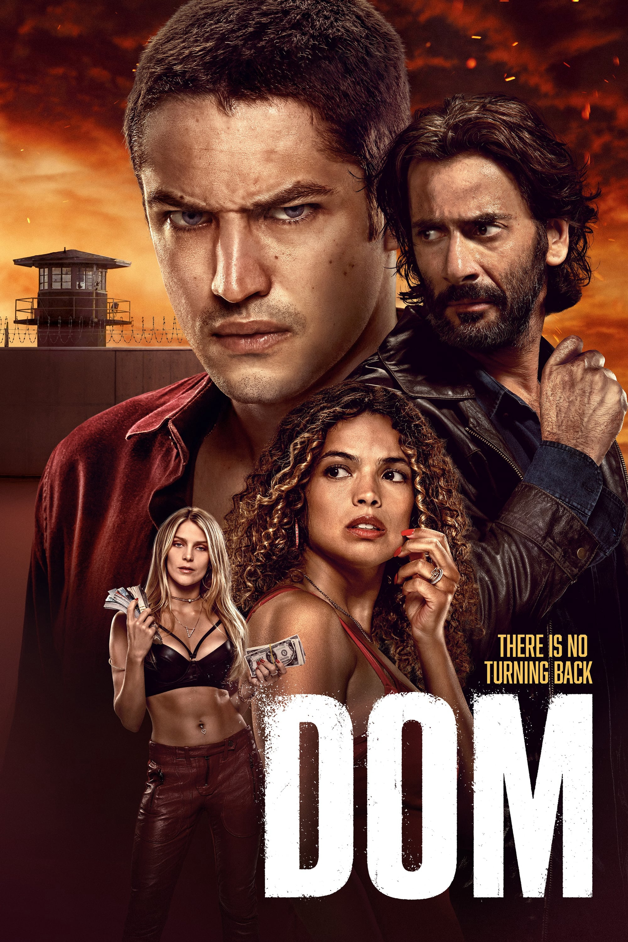 Xem Phim Dom (Phần 2) Vietsub HD Online - Rophim
