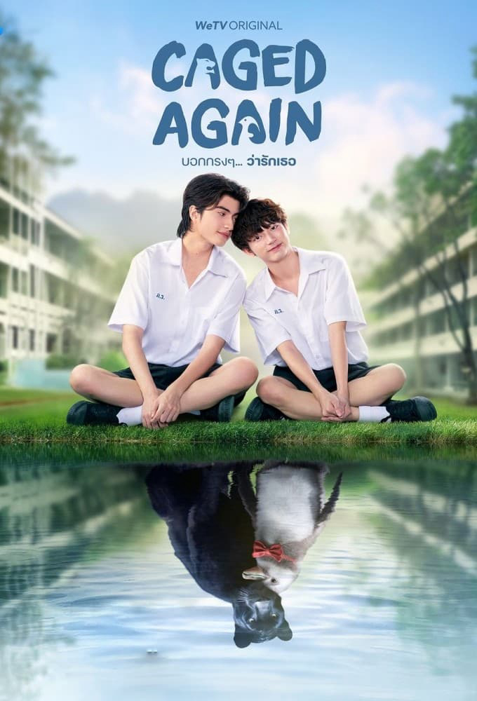 Xem Phim Dũng Cảm Nói Yêu Người Vietsub HD Online - Rophim