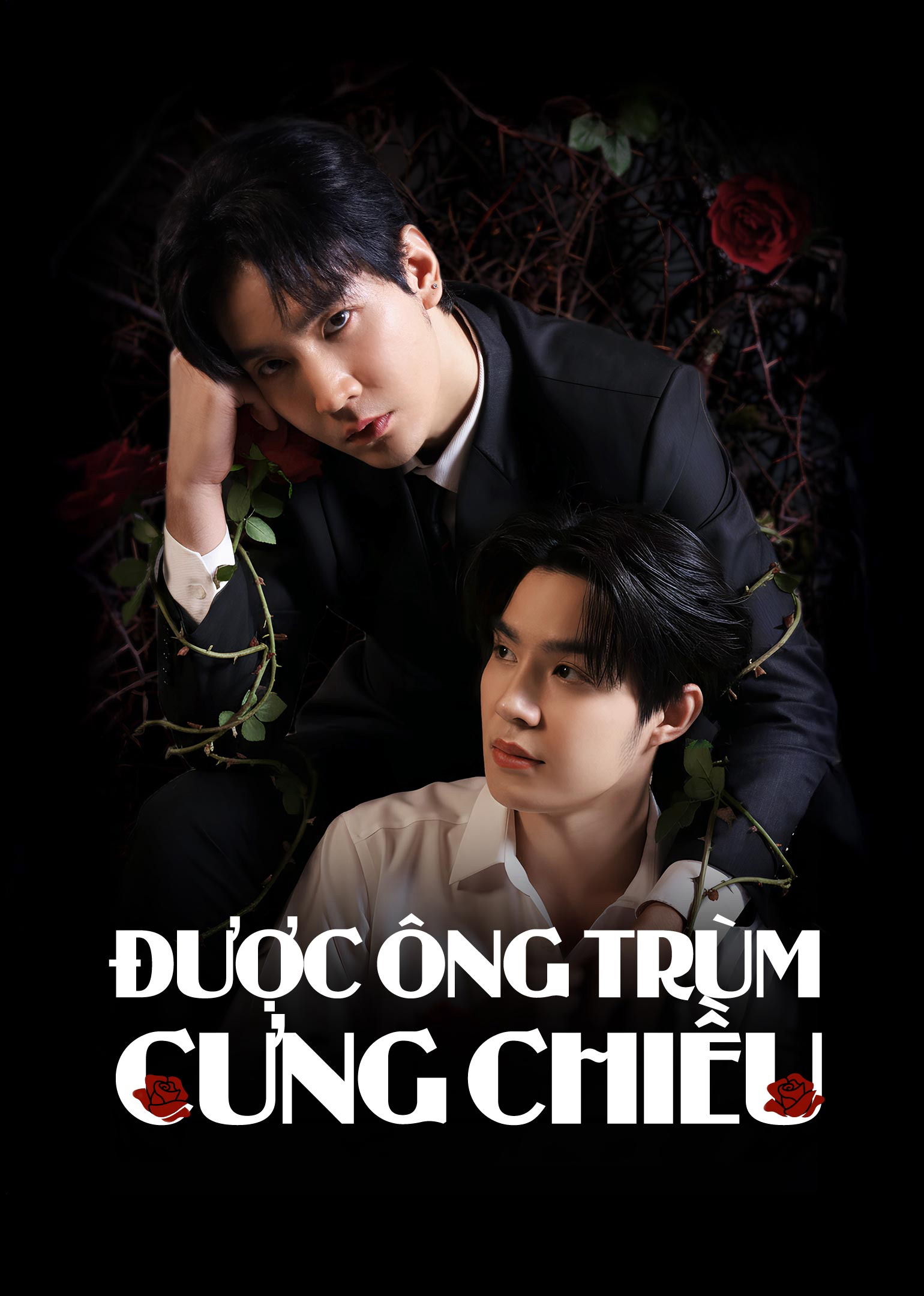 Xem Phim Được Ông Trùm Cưng Chiều Vietsub HD Online - Rophim