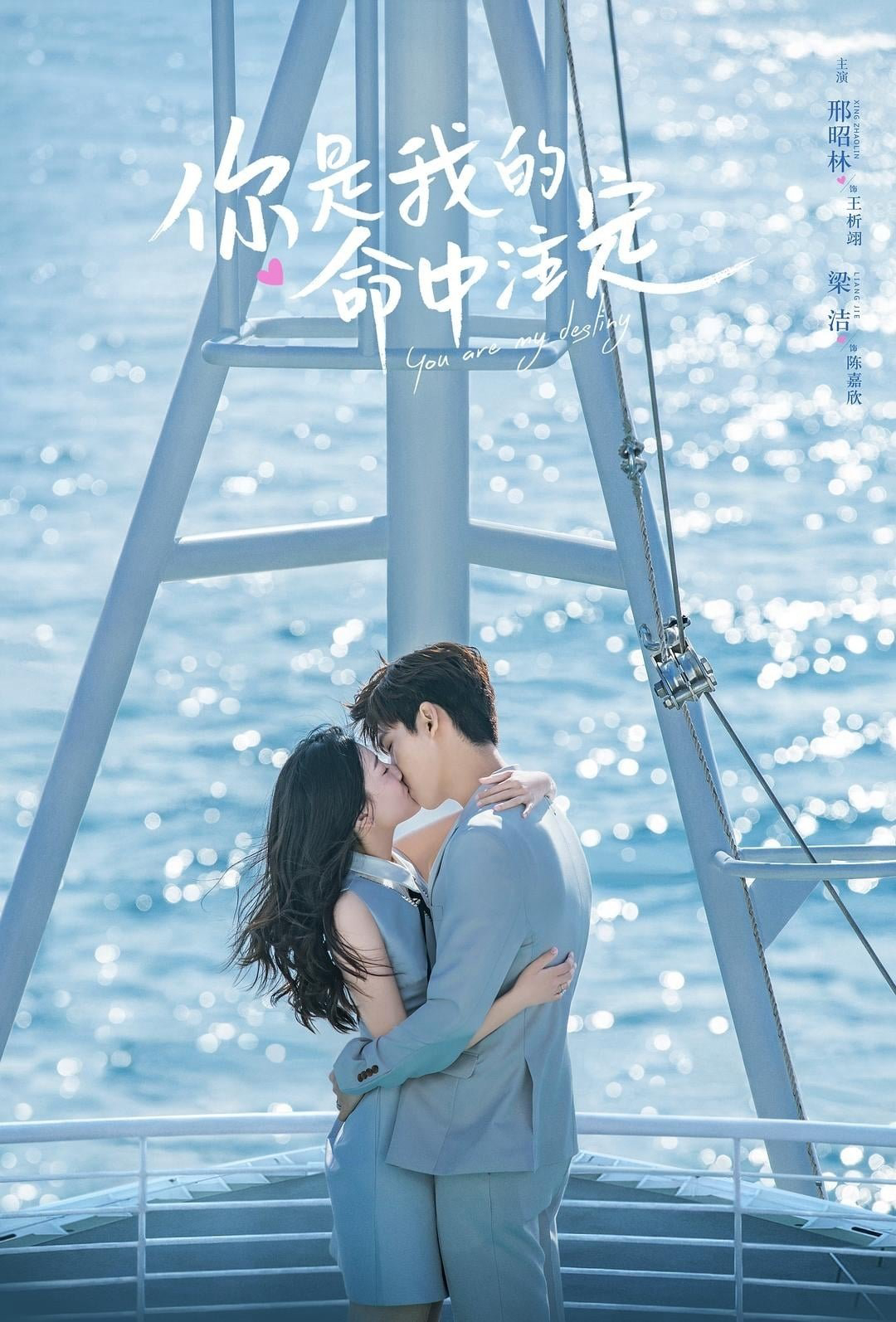 Xem Phim Em Là Định Mệnh Đời Anh Vietsub HD Online - Rophim