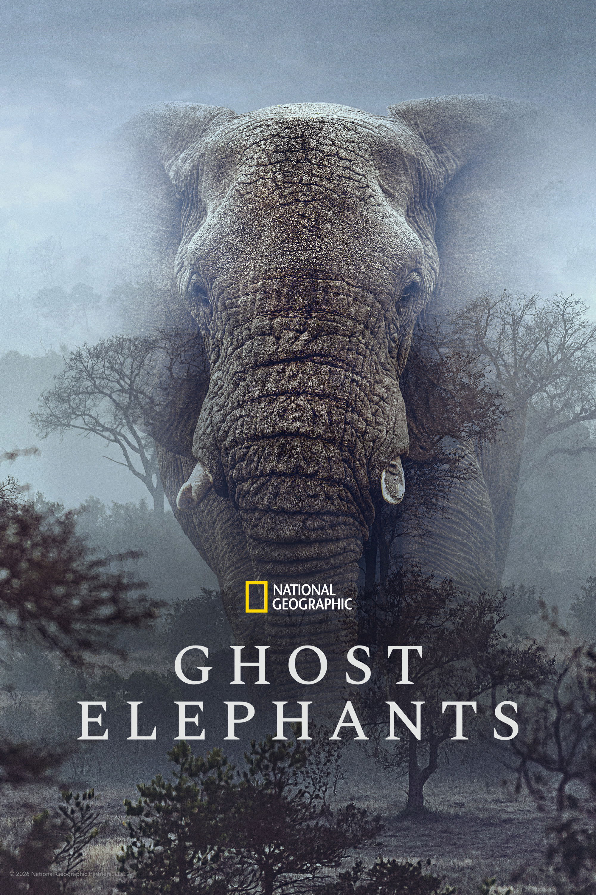 Xem Phim Ghost Elephants Vietsub HD Online - Rophim