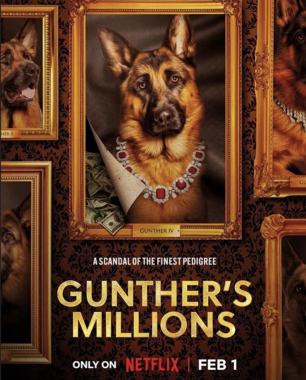 Xem Phim Gunther - Chú chó triệu phú Vietsub HD Online - Rophim
