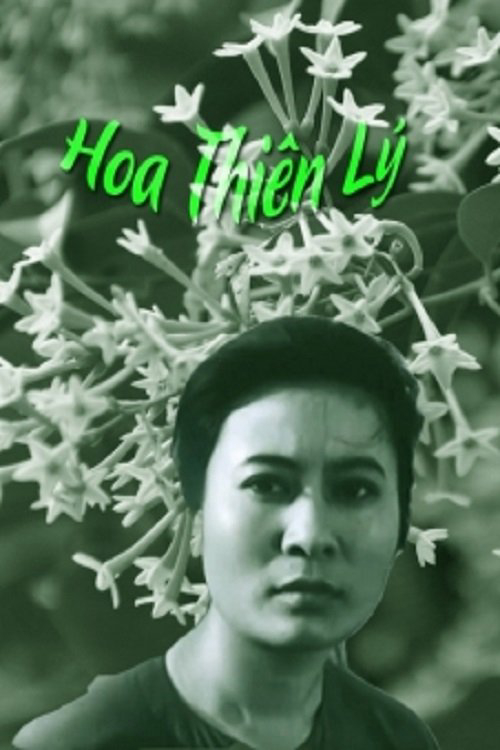 Xem Phim Hoa Thiên Lý Vietsub HD Online - Rophim
