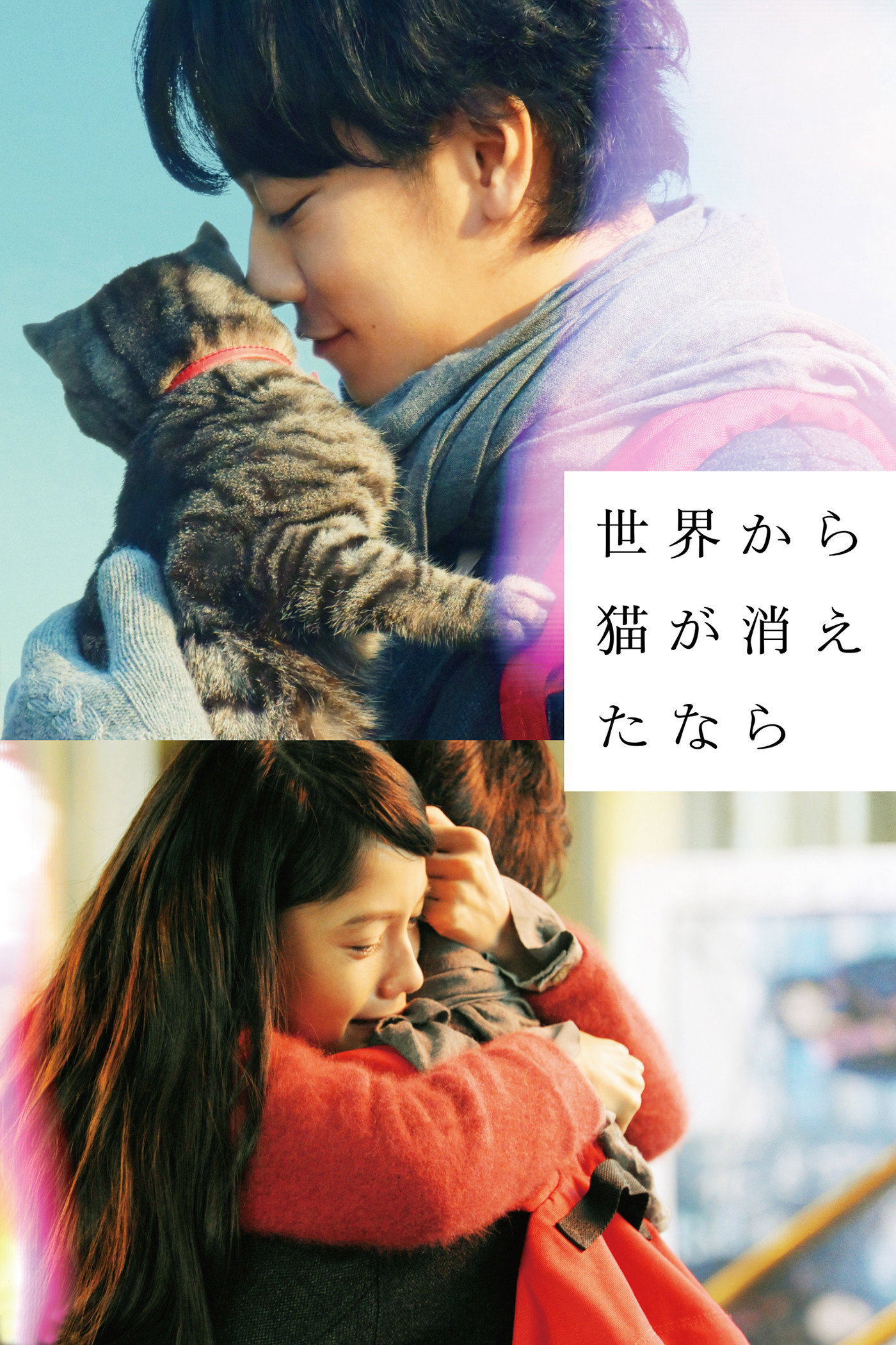 Xem Phim If Cats Disappeared from the World Vietsub HD Online - Rophim