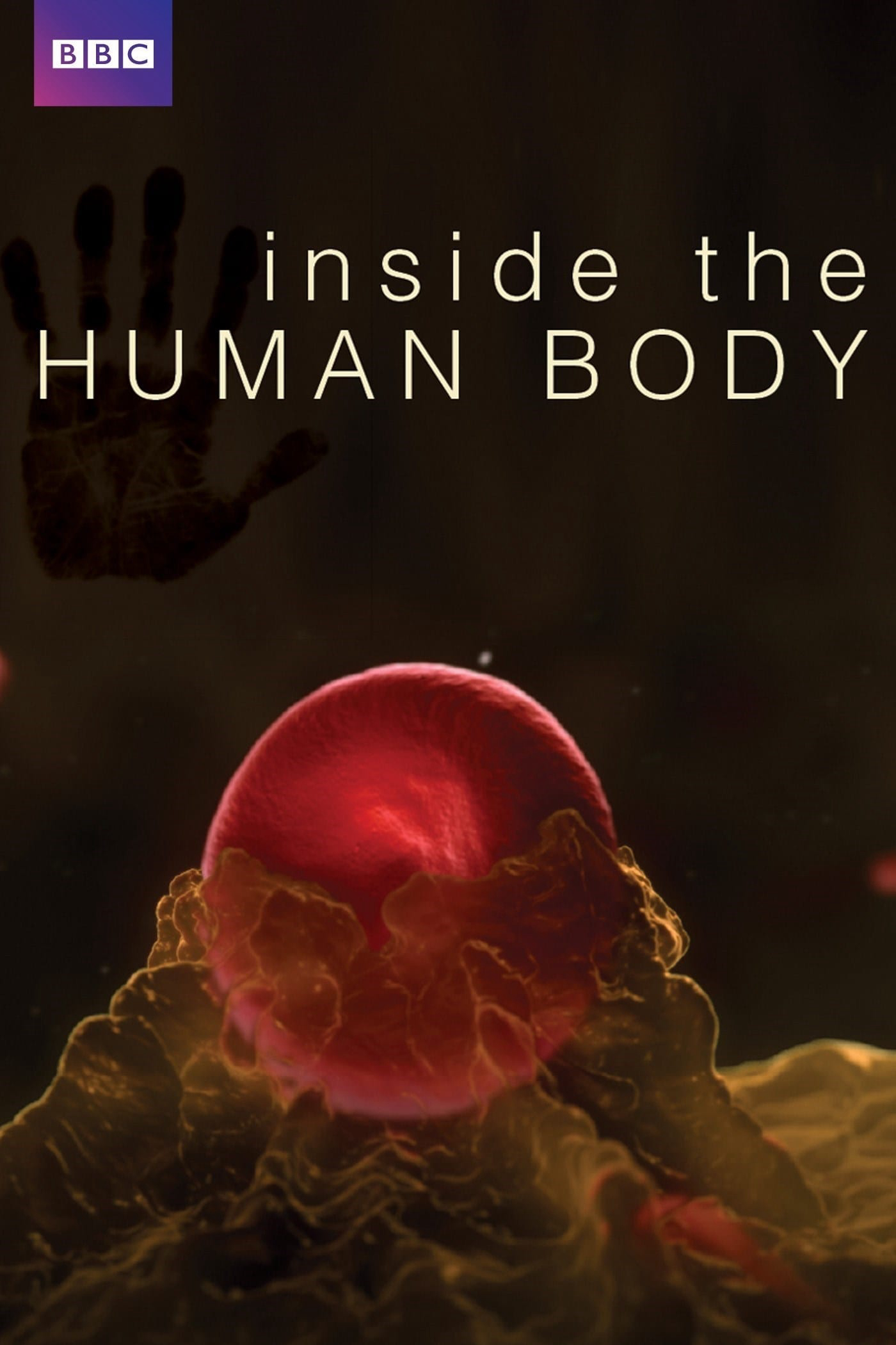 Xem Phim Inside the Human Body Vietsub HD Online - Rophim