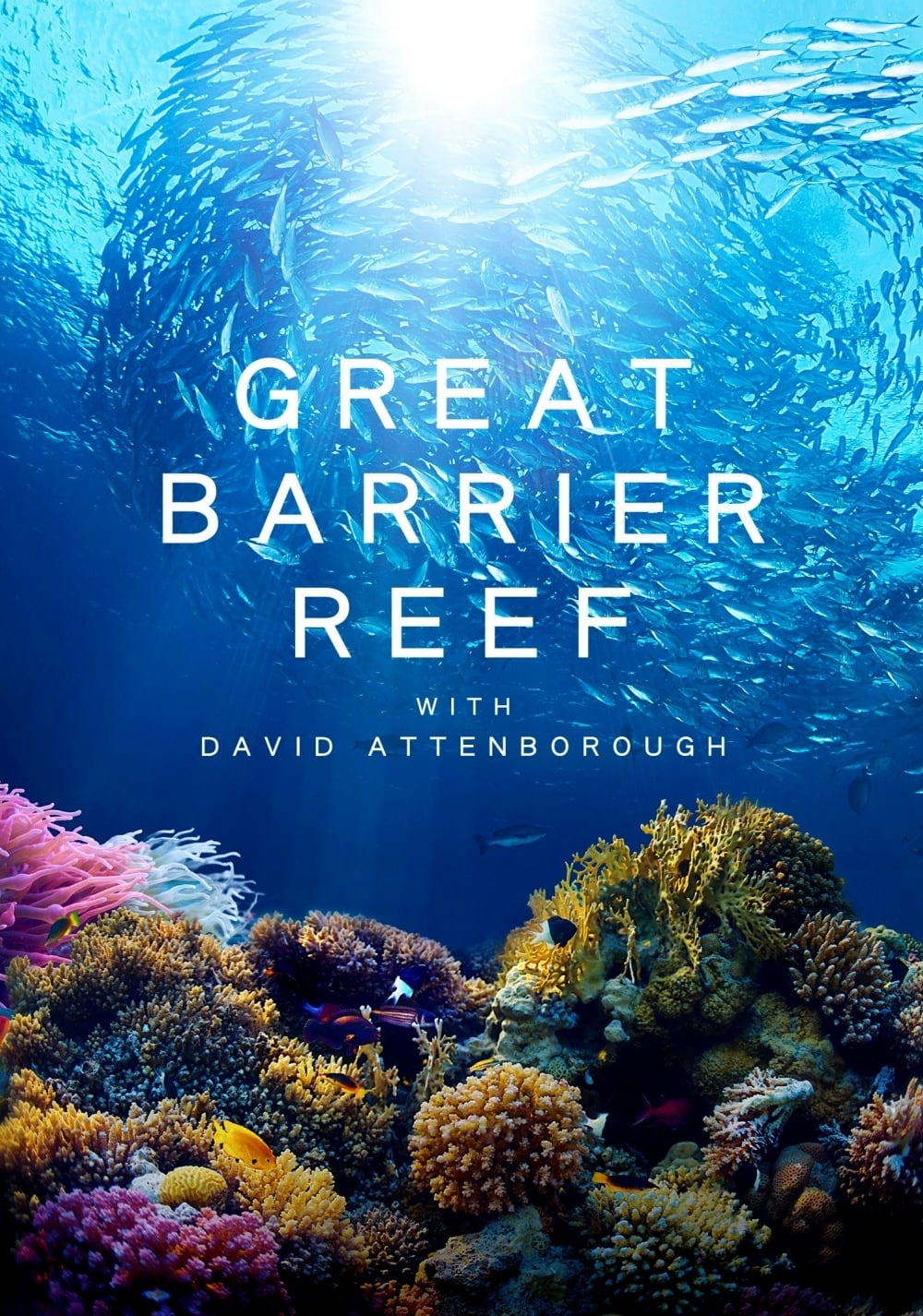 Xem Phim Khám Phá Rạn San Hô Great Barrier cùng David Attenborough Vietsub HD Online - Rophim