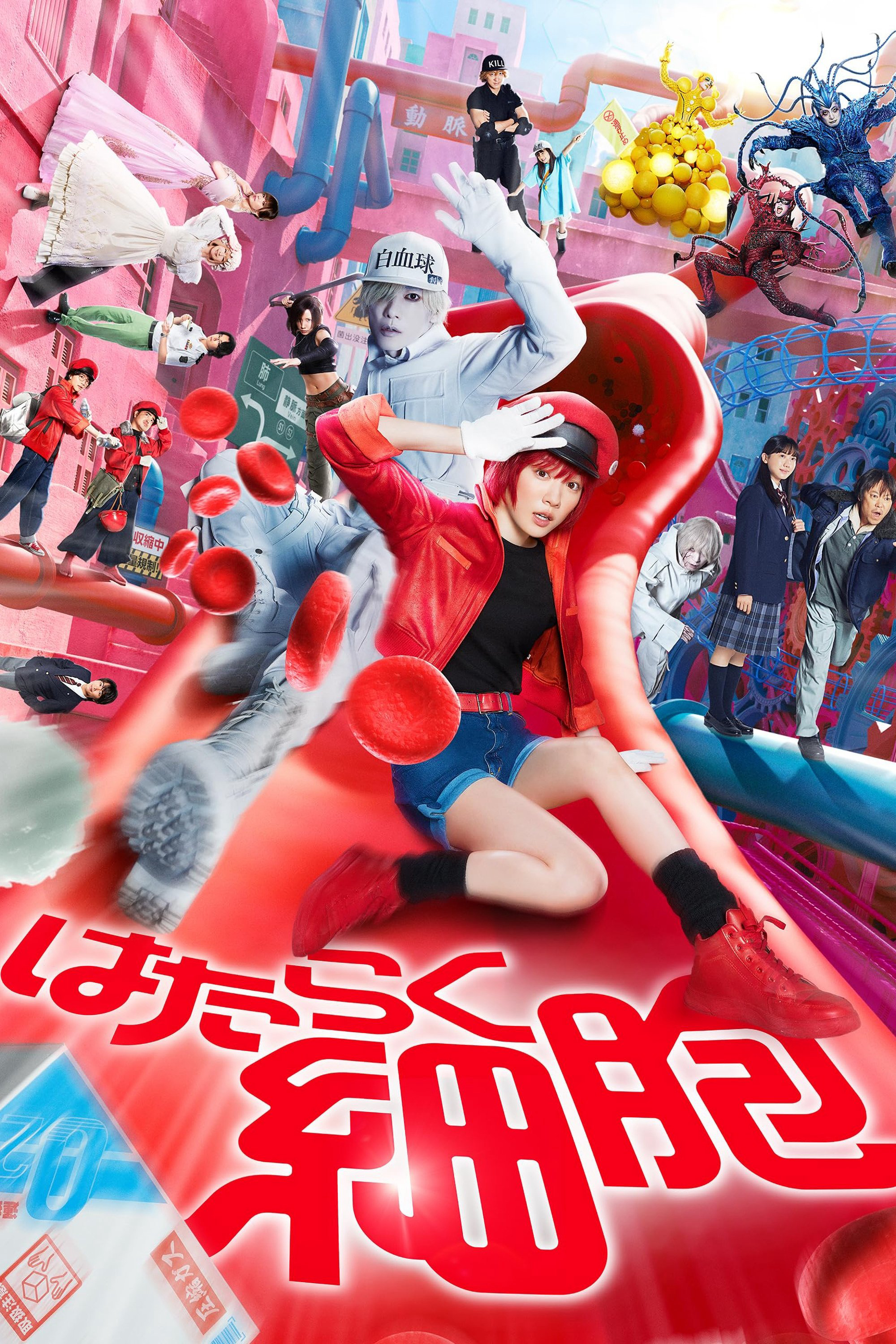 Xem Phim Khi tế bào làm việc Vietsub HD Online - Rophim