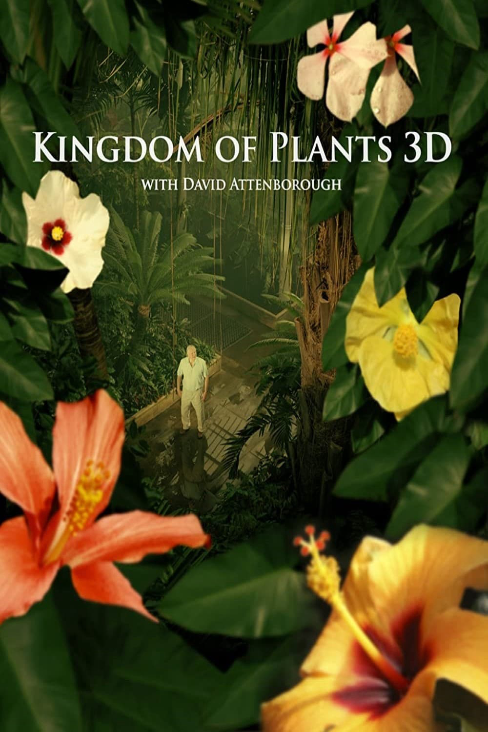 Xem Phim Kingdom of Plants Vietsub HD Online - Rophim