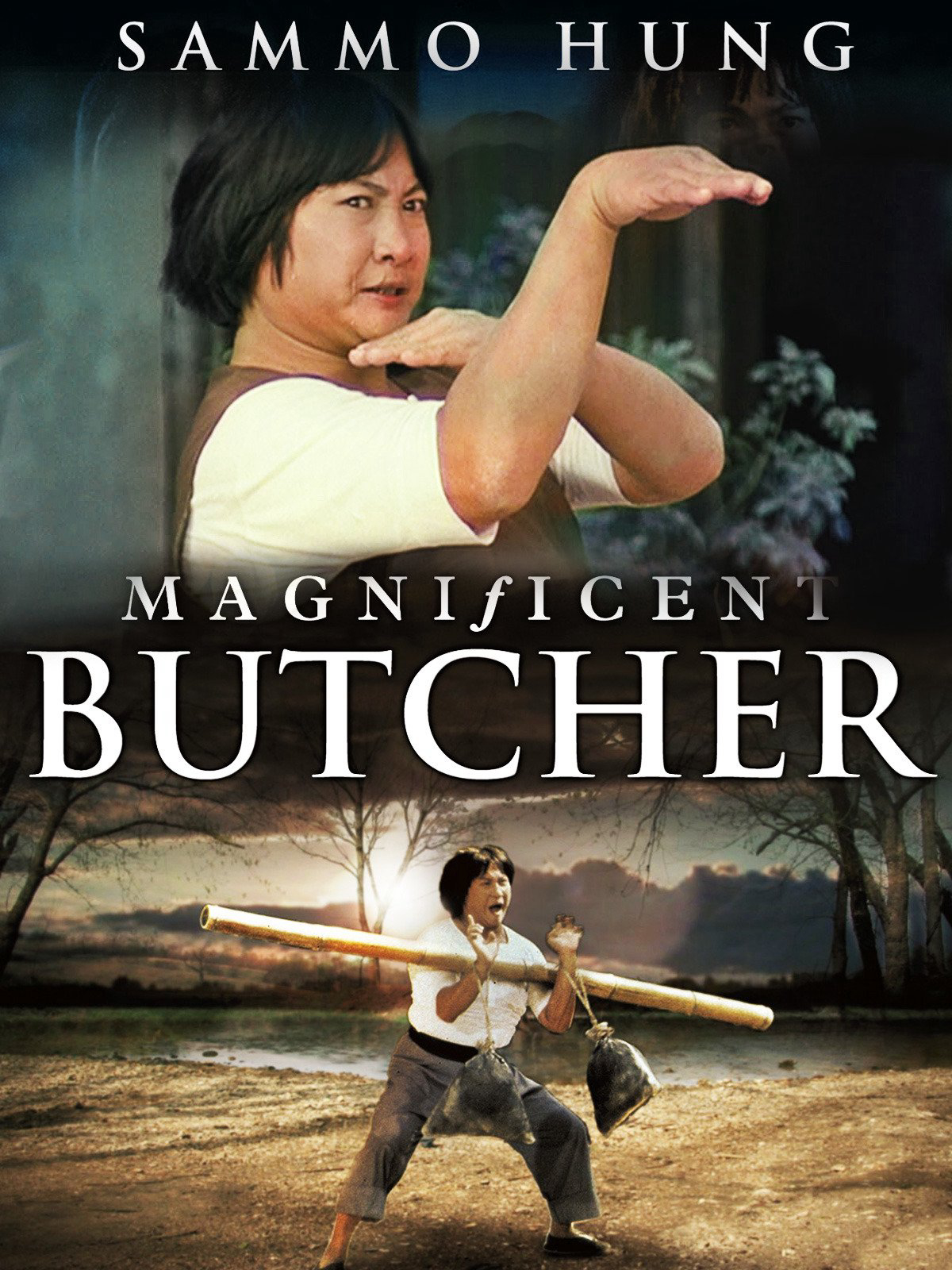 Xem Phim Lâm Thế Vinh Vietsub HD Online - Rophim