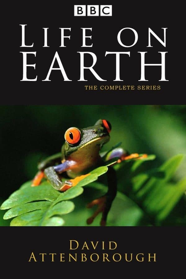 Xem Phim Life on Earth Vietsub HD Online - Rophim