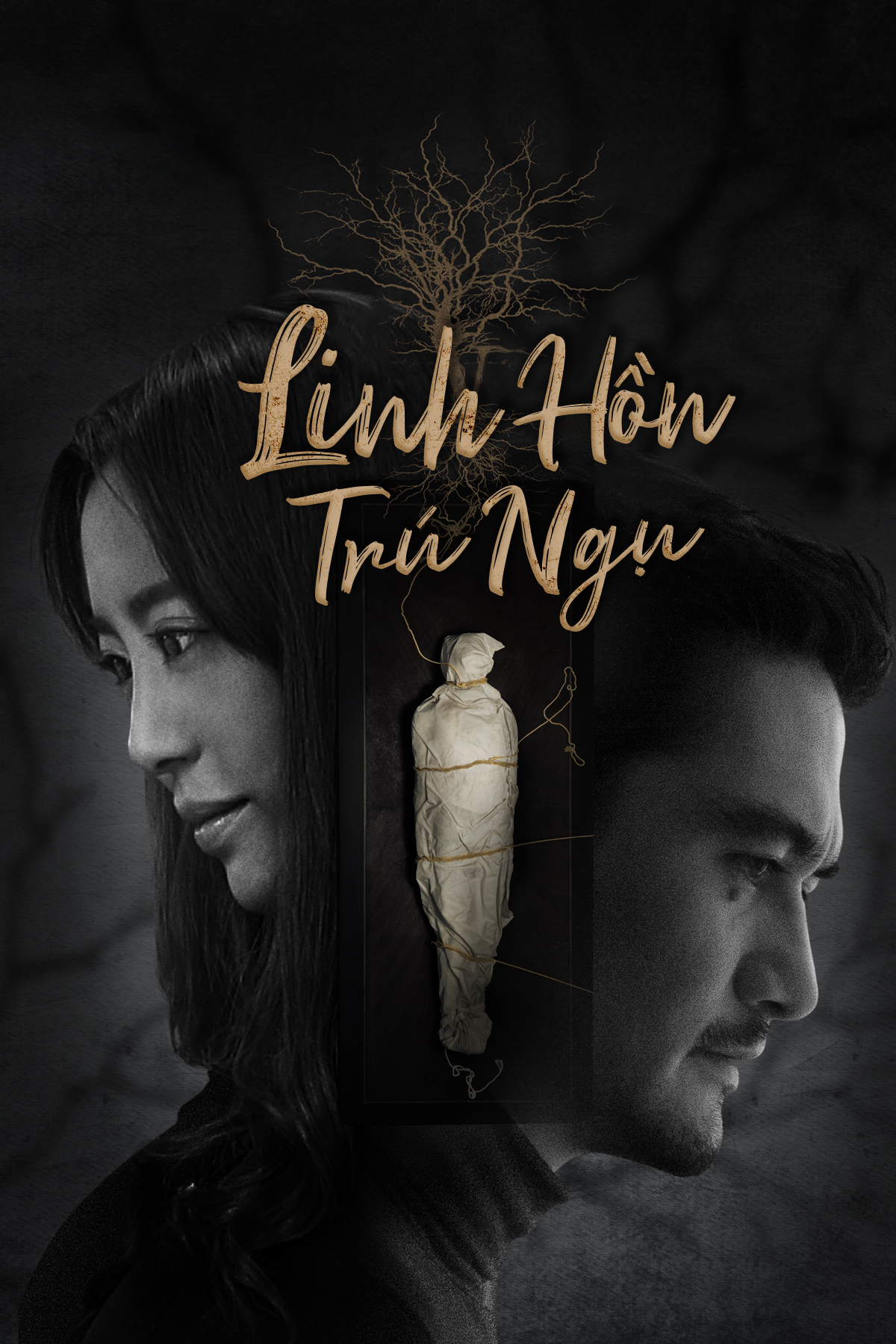 Xem Phim Linh Hồn Trú Ngụ Vietsub HD Online - Rophim