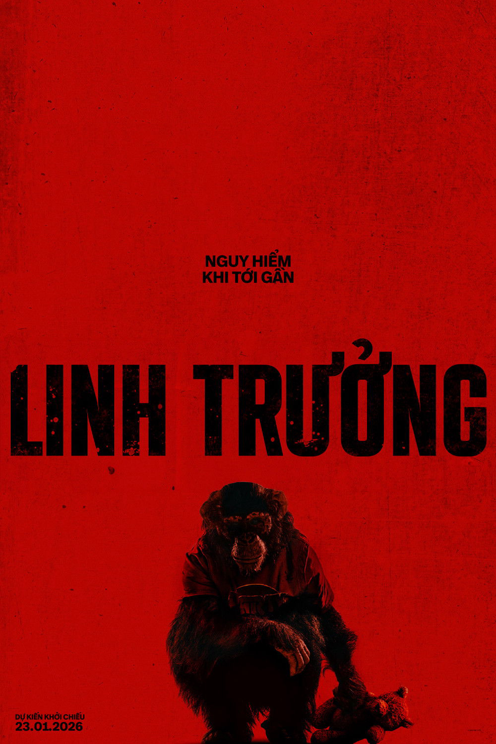 Xem Phim Linh Trưởng Vietsub HD Online - Rophim