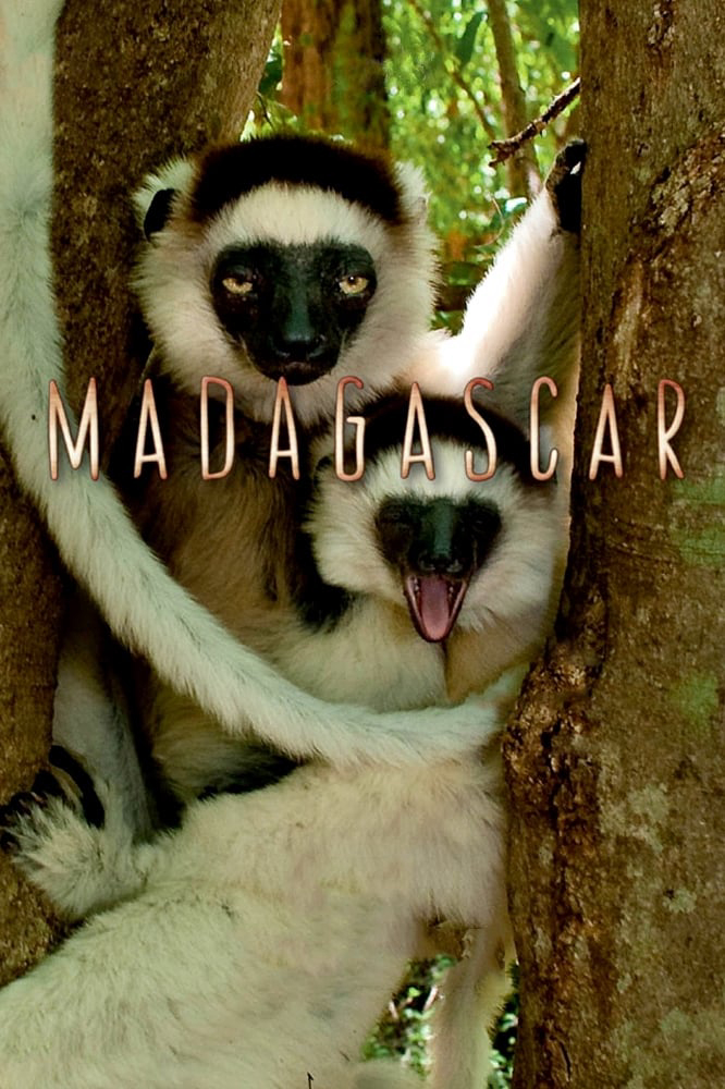 Xem Phim Madagascar 2011 Vietsub HD Online - Rophim