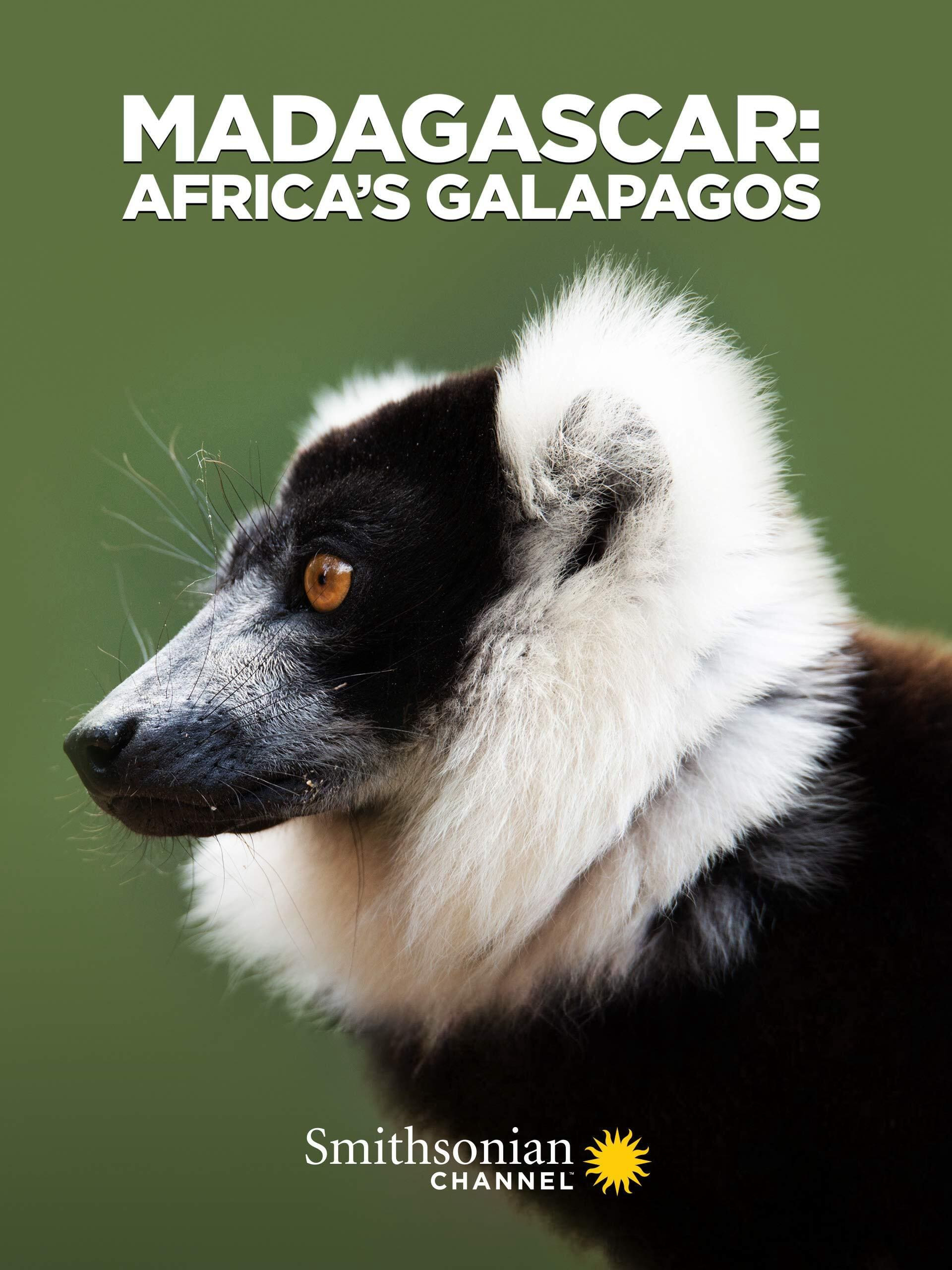 Xem Phim Madagascar: Africa's Galapagos Vietsub HD Online - Rophim