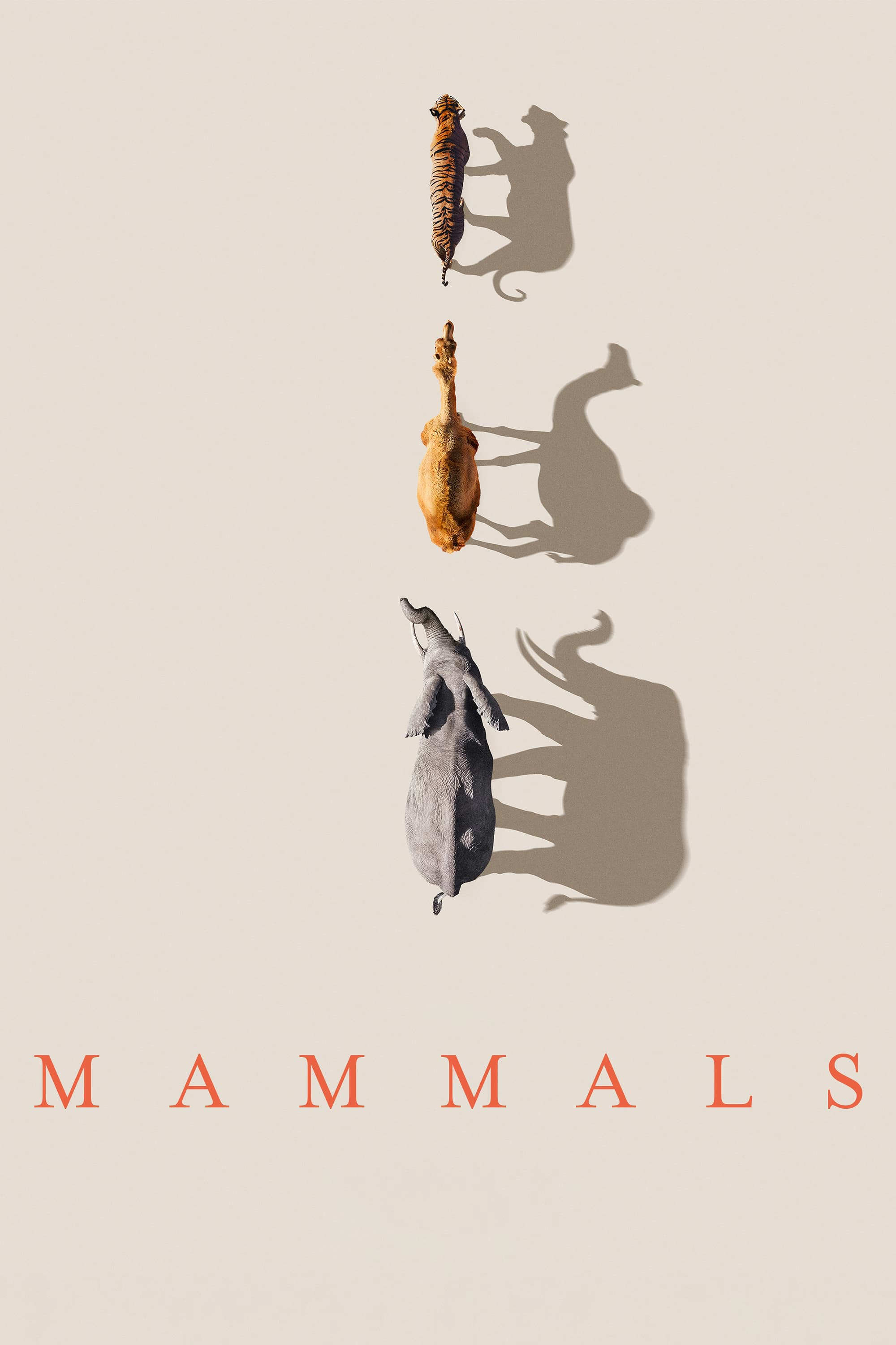 Xem Phim Mammals (2024) Vietsub HD Online - Rophim